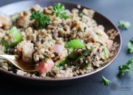 vegan Lentil Quinoa